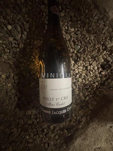 Bourgogne Rully Premier Cru Domaine Jacques Dury Meix Cadot 2022