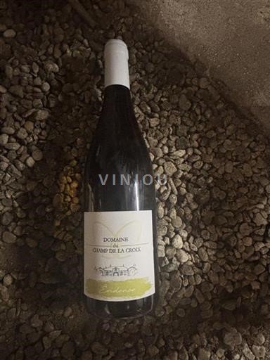 Beaujolais Ikke specificeret Domaine Champ de la Croix Évidence 2019