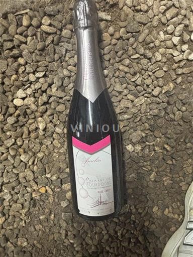 Burgundy Crémant de Bourgogne Amelin Non-Vintage