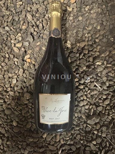Bourgogne Ikke specificeret Macle Lapierre Vive-la-Joie 2017
