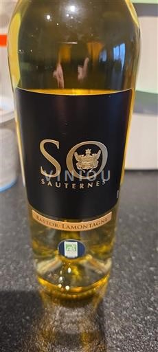 Bordeaux Sauternes Château Bastor-Lamontagne SO Sauternes 2022