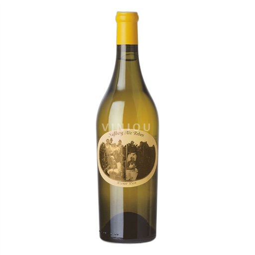 Vienna Wiener Gemischter Satz DAC Wieninger Gemischter Satz Ried Ulm 2021