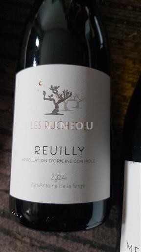 Údolí Loiry Reuilly Antoine de la Farge Les Ruchettes 2024