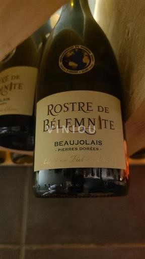 Beaujolais Rostre de Bélemnite Pierres Dorées 2019