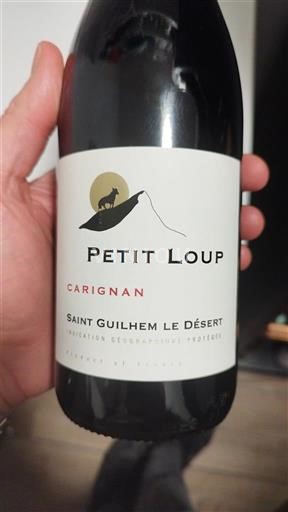 Languedoc và Roussillon Thánh-Guilhem-le-Désert Petit Loup Carignan 2023