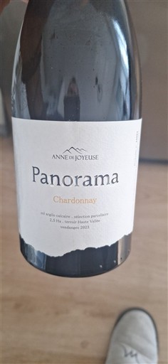 Languedoc và Roussillon Thung lũng cao Aude Anne de Joyeuse Panorama Chardonnay 2023