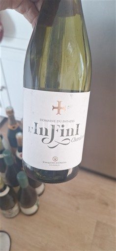 Jura Côtes du Jura Domaine Paradis L'Infini Chardo 2022