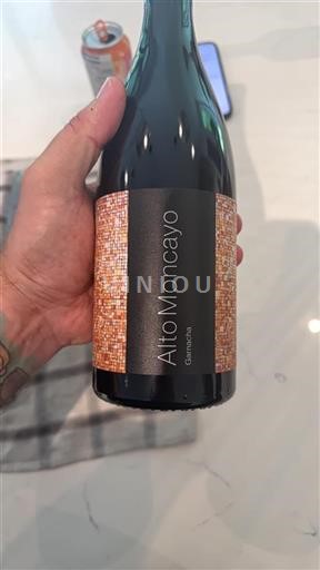 Aragonien Campo de Borja Alto Moncayo Garnacha 2022