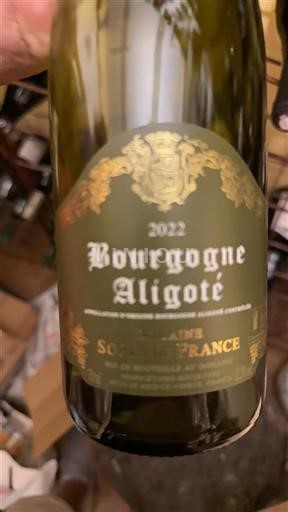 Borgoña Borgoña-Aligoté Domaine Sorin de France 2022