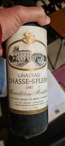 Bordeaux Moulis-en-Médoc Château Chasse-Spleen 1987