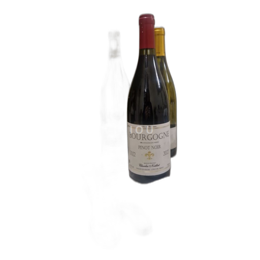 Bourgogne Bourgogne Côte d'Or Charles Noëllat Pinot Noir 2022