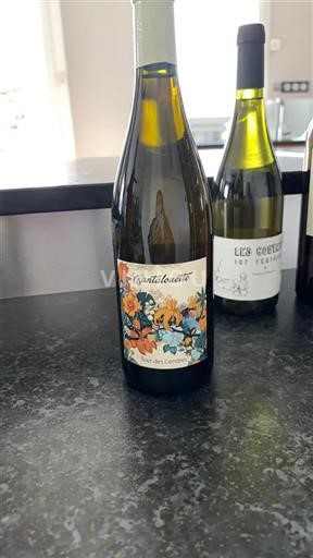 Südwestfrankreich Bergerac Château Tour des Gendres Cantalouette Ohne Jahrgang