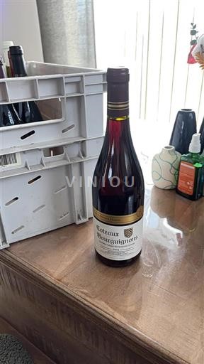 Burgundija Burgundska gricevja Domaine Augustin Florent 2021