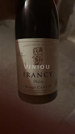 Burgundsko Irancy Benoît Cantin Palotte 2021