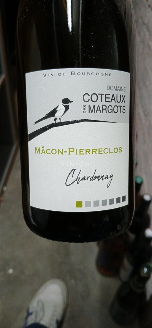 Burgundi Mâcon ja Mâcon-kylät Domaine Des Coteaux des Margots Chardonnay 2024