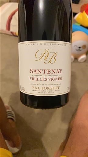 Bourgondië Santenay P&L Borgeot Vieilles Vignes 2022
