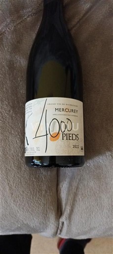 Bourgondië Mercurey 4000 Pieds 2022