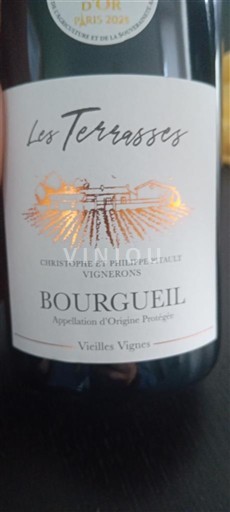 Loiren laakso Bourgueil Domaine Christophe et Philippe Pitault Les Terrasses Vieilles Vignes 2024