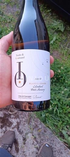 Sudoeste Côtes de Gascogne Planète Cépages 2023