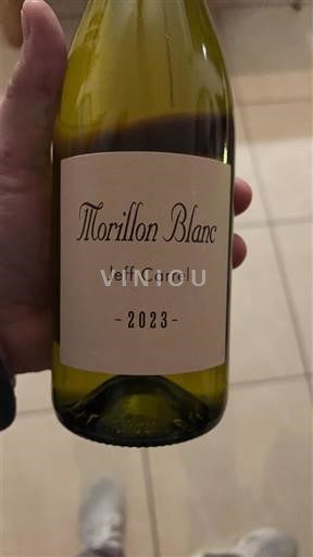 Linguadoca e Rossiglione Côtes catalanes Jeff Carrel Morillon Blanc 2023