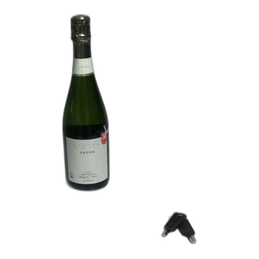 Catalonië Niet gespecificeerd Cygnus Sador Niet-geïntegreerd