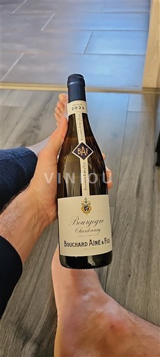 Bourgogne Bourgogne Chardonnay Bouchard Aîné & Fils 2022