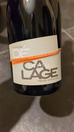 Langvedok Grès de Montpellier Domaine Décalage Trois amours 2024