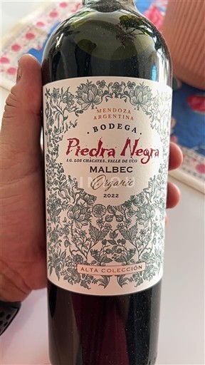 Mendoza Không được chỉ định Bodega Piedra Negra Alta Colección 2022