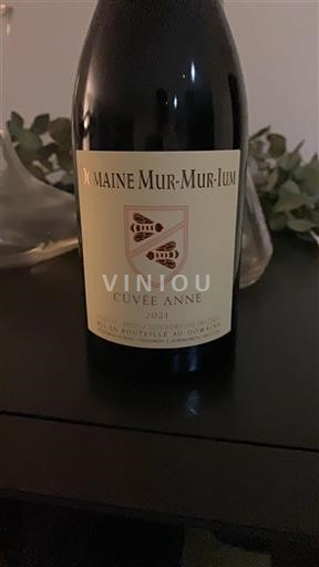 Rona dolina Ventoux Domaine Mur-Mur-Ium Anne 2021