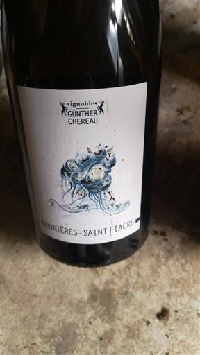 Loire-dalen Muscadet-Sèvre-et-Maine Vignobles Gunther Chéreau 2019