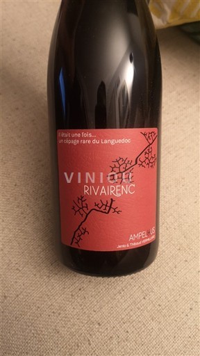 Languedoc Không được chỉ định Domaine Ampelhus Rivairenc 2024