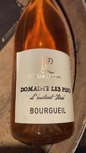 Vale do Loire Bourgueil Domaine Les Pins L'instant Rosé 2022