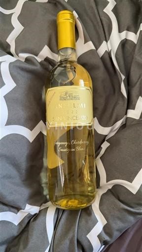 Abruzzo Anselmi San Vincenzo 2023