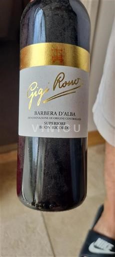 Piedmont Barbera d'Alba Gigi Rosso Buon Ricordo Non-Vintage