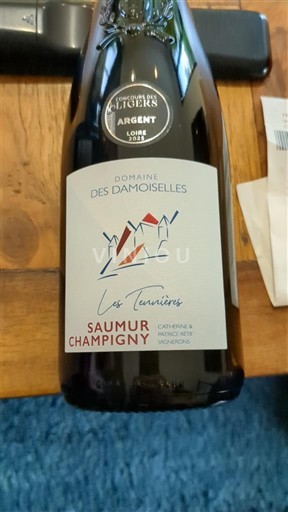 Loire-dalen Saumur-Champigny Domaine Des Demoiselles Les Terres 2024