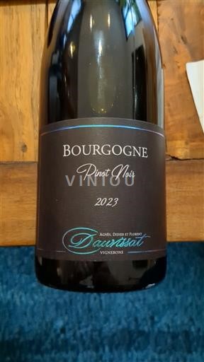 Burgundy Dauvissat Pinot Noir 2023