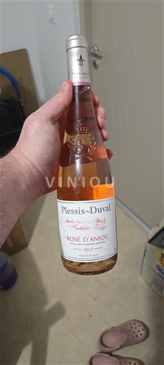 Loirevallei Rosé d'Anjou Plessis-Duval 2022