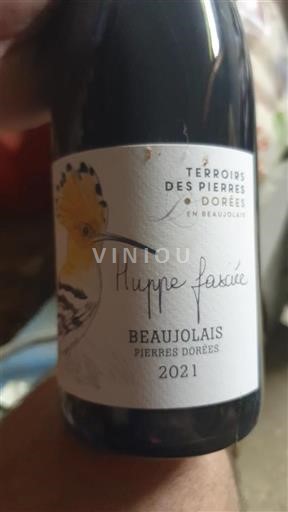 Beaujolais Terroirs des Pierres Dorées Huppe fasciée 2021