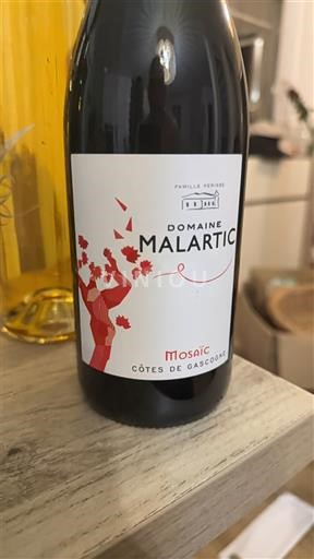 Lounais-Ranska Gascognen rinteet Domaine Malartic Mosaïc Ei vuosikertaa