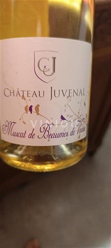 Rhônedalen Muscat de Beaumes de Venise Château Juvenal Icke årgångsbetecknad