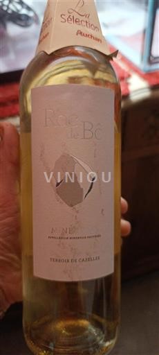 Languedoc Minervois Roc de Bô Terroir de Cazelles Sin añada