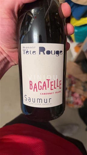 Dolina Loare Сомур Manoir de la Tête Rouge Bagatelle 2022