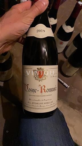 Borgoña Vosne-romanée Hudelot-Noellat 2019