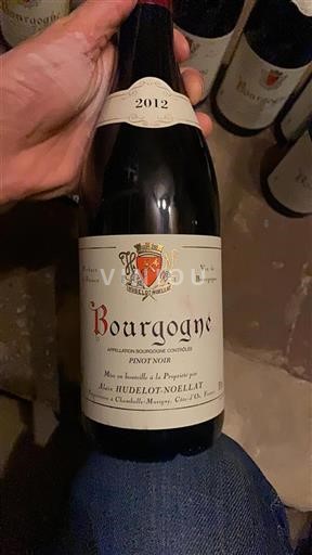 Bourgogne Hudelot-Noellat 2012