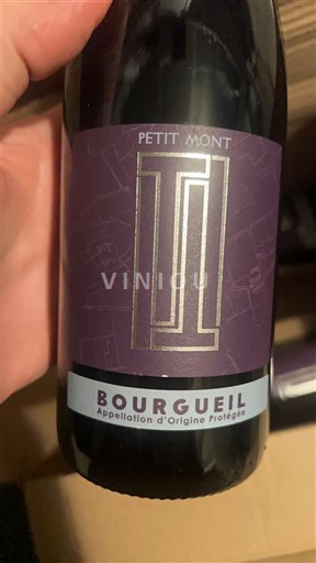 Dolina Loare Bourgueil Petit Mont 2019