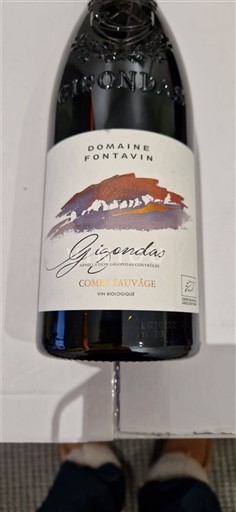 Rhônen laakso Gigondas Domaine Fontavin Combe Sauvage 2022