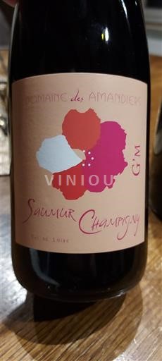 Loirevallei Saumur-champigny Domaine Des Amandiers GM 2024