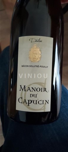 Burgundi Mâcon-Solutré-Pouilly Manoir du Capucin Délice 2023