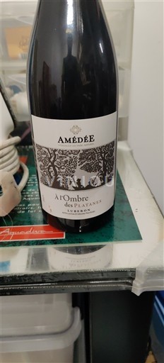 Rhônen laakso Luberon Amédée À l'Ombre des Platanes Ei vuosikertaa