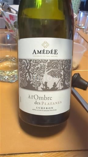 Rhônedalen Luberon Amédée À l'Ombre des Platanes Icke årgångsbetecknad